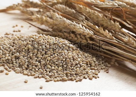 Pearled barley grains and stalks of wheat.