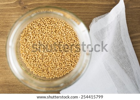 Mustard seeds in sprouting jar viewed from above.