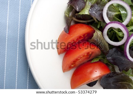 Side salad on white plate with fresh salad greens, tomatoes and red onions.