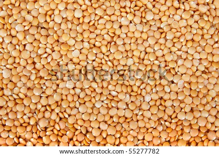 Full frame of dried red lentils for texture or food background.