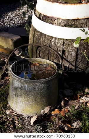 Rural scene of old weathered bucket full of water and leaves in front of very worn barrel