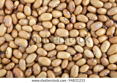 Brown pinto beans filling frame for food background or texture.
