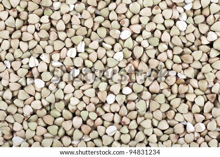 Dried buckwheat seeds filling frame for a food background or texture.