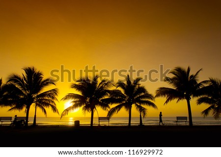 golden sunrise and silhouette palm tree