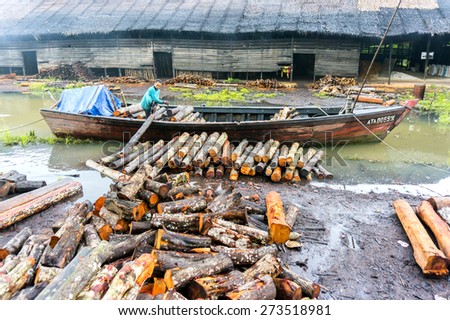 TAIPING, MALAYSIA - APRIL 20: Unidentified worker carrying raw mangrove wood has been processed as charcoal from a cone April 20, 2015 in Taiping, Malaysia. This product for local market and export.