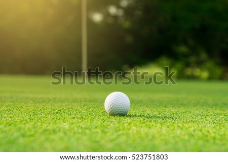 golf ball on green golf course, sunrise morning light.