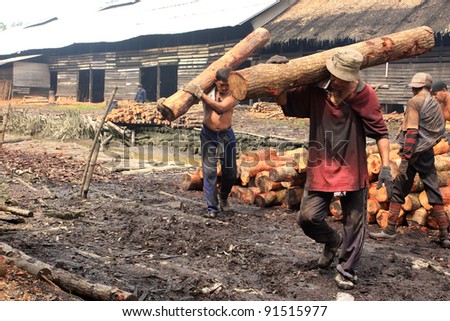 TAIPING, MALAYSIA - DECEMBER 17: Unidentified worker carrying raw mangrove wood to be processed as charcoal on December 17, 2011 in Taiping, Malaysia.