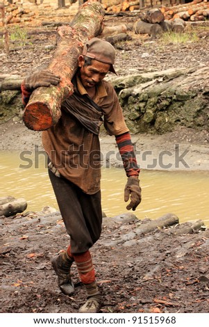 TAIPING, MALAYSIA - DECEMBER 17: Unidentified worker carrying raw mangrove wood to be processed as charcoal on December 17, 2011 in Taiping, Malaysia.