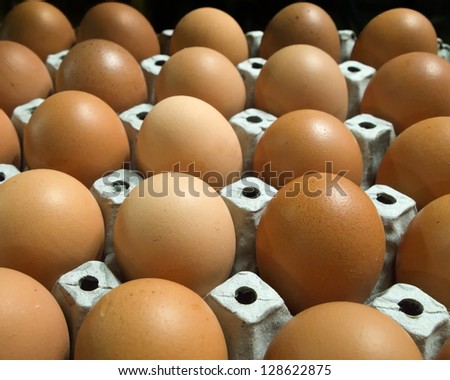 Many eggs in paper tray from the market