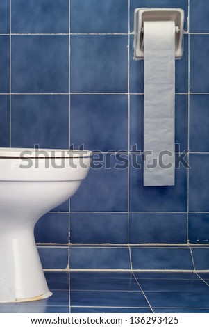 White Sanitary Ware And Long Tissues in Blue Bathroom