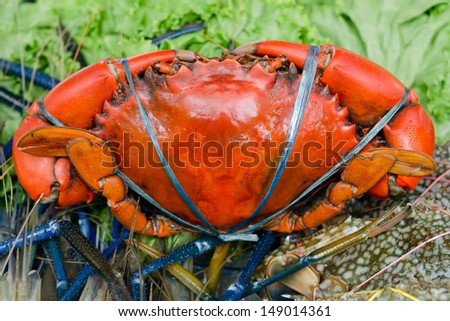 Red crabs bound for sale in the market