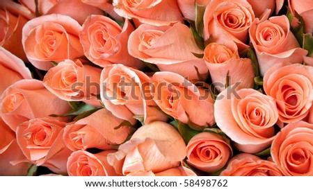bouquet of light orange color roses