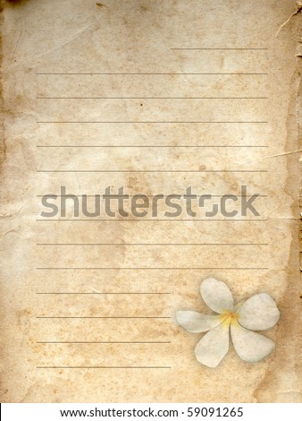 old grunge letter paper white flower print