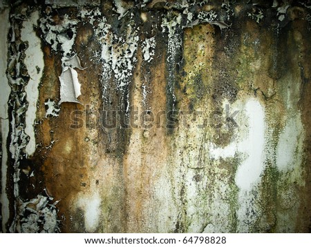 Texture of abstract Rough old wet wall background