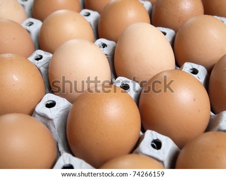 Carton of fresh many brown eggs