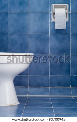 White ceramic sanitary ware and tissues in Blue bathroom