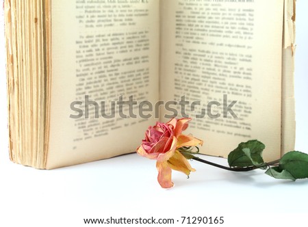 Dried red rose and an old book