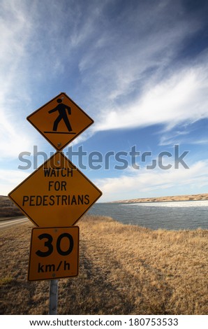 Pedestrian sign with snow geese behind
