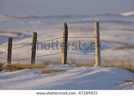 Prairie Fence in Winter in Saskatchewan Canada