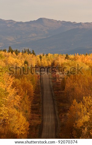 Autumn colored trees along road in British Columbia