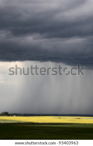 Rain front approaching Saskatchewan canola crop