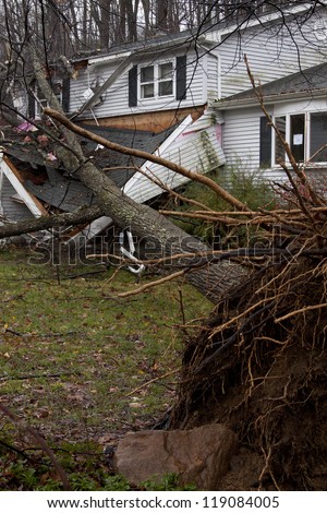 ANDOVER, NJ - OCT 30: An uprooted tree laying across the front porch of a home after Hurricane Sandy made landfall in the northeast region of the US in Andover, New Jersey on October 30, 2012.