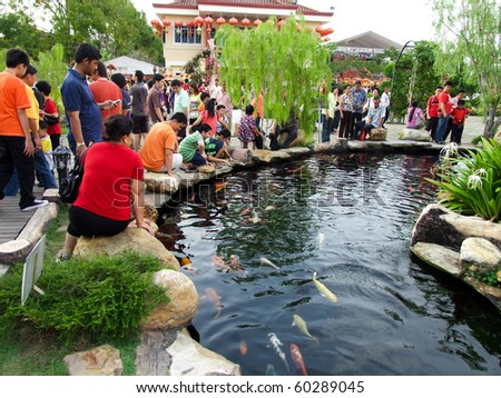 JENJAROM, MALAYSIA - CIRCA FEBRUARY 2010 : Family members from all walks of life admiring pond of Koi fishes at a temple during Chinese New Year circa February 2010 in  Jenjarom, Malaysia.