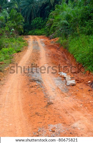 Dirt track leading into jungle.