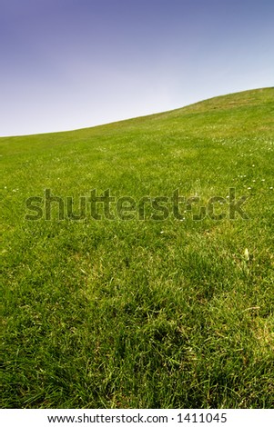 Background of blue sky and green grass