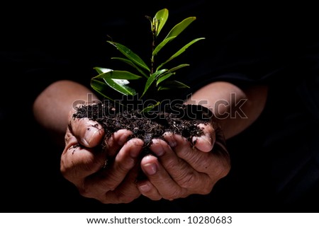 A shot of a senior man holding a new plant