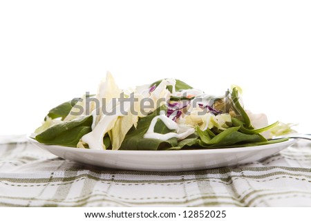 An isolated shot of a plate of garden salad with ranch dressing