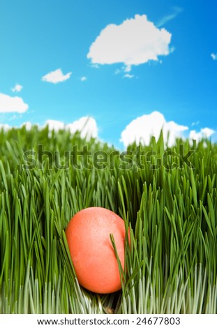 A shot of an easter egg hidden in grass under the blue sky