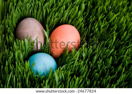 A shot of an easter egg hidden in grass