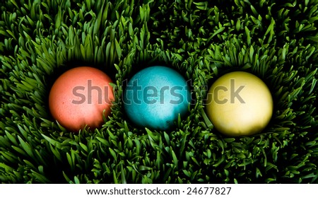 A shot of easter eggs hidden in grass
