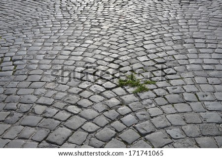Background texture, old cobblestone road close up.