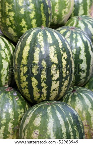 Water-melon closeup against water-melons
