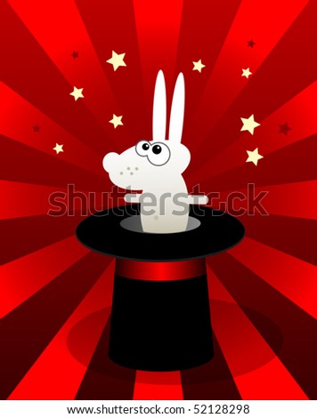 Bunny Magic Hat