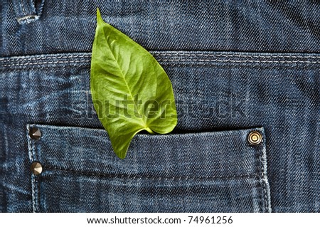 Closeup to jeans pocket with green leaf