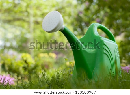 Garden watering can in the garden on a background of green foliage