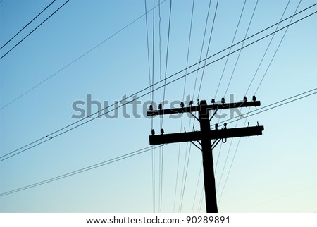 electric pole and a lot of crossed electric wires