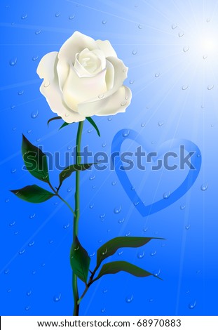 stock vector Drawing hearts on the glass Rose in the rain