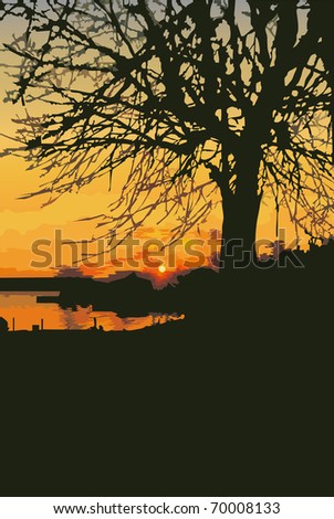 Old tree at sunset. Summer landscape in silhouette.