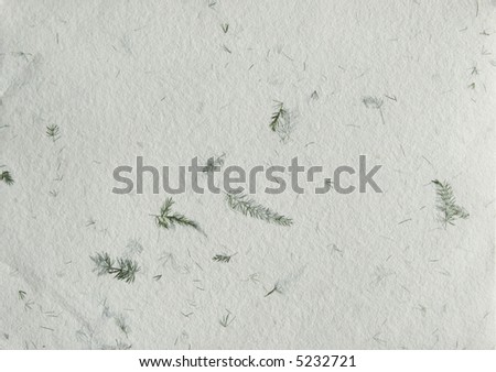paper with plants on white background