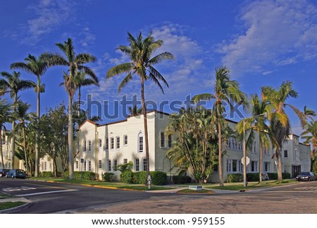 palm trees nestled around stucco building in Florida