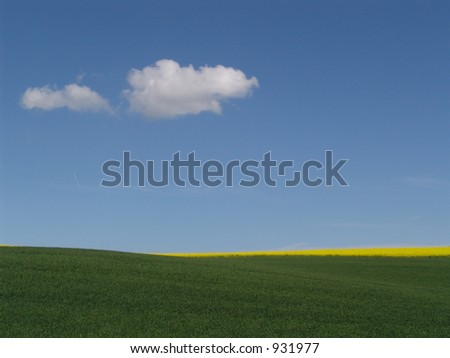 between heaven and earth - rapeseed stripe between sky and wheat field