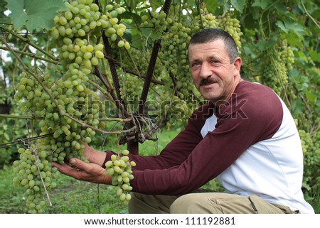 The smiling  wine-grower shows grapes cluster