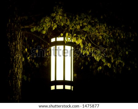 Lone lantern on tree in extreme darkness.
