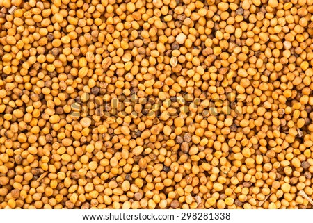 Brown mustard seeds abstract background