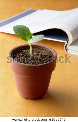 Young plant and open book
