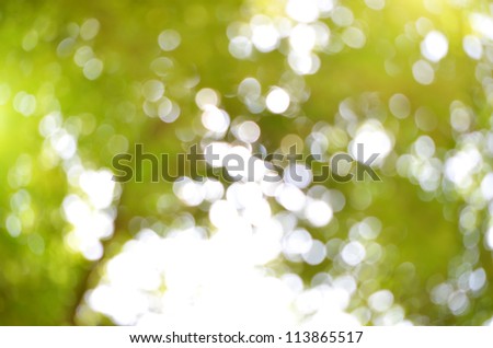 natural background blur. natural composition